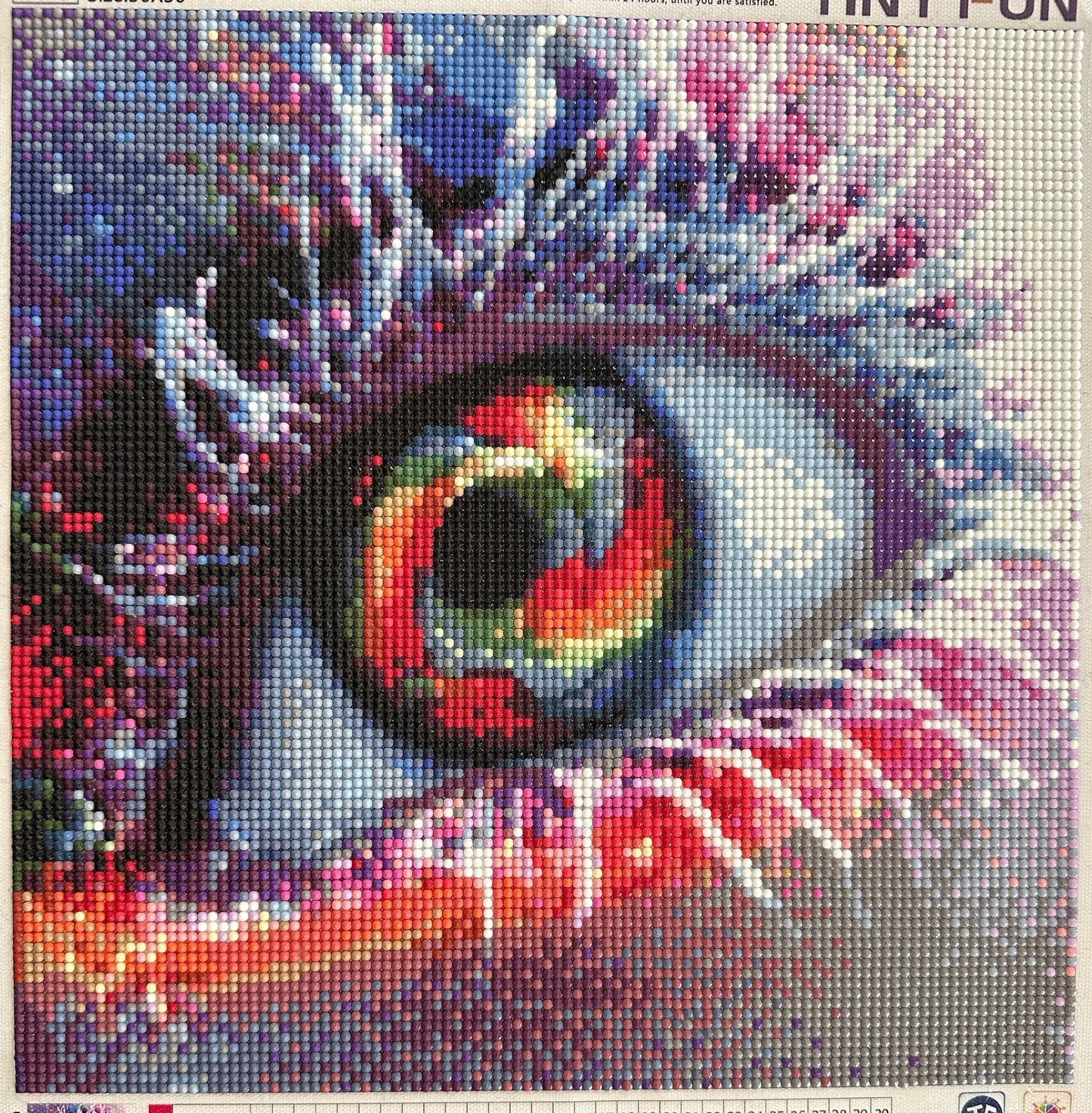 Frosty lashes and rainbow eye - Diamond Art