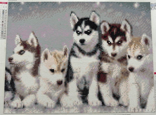 Husky Puppies - Diamond Art