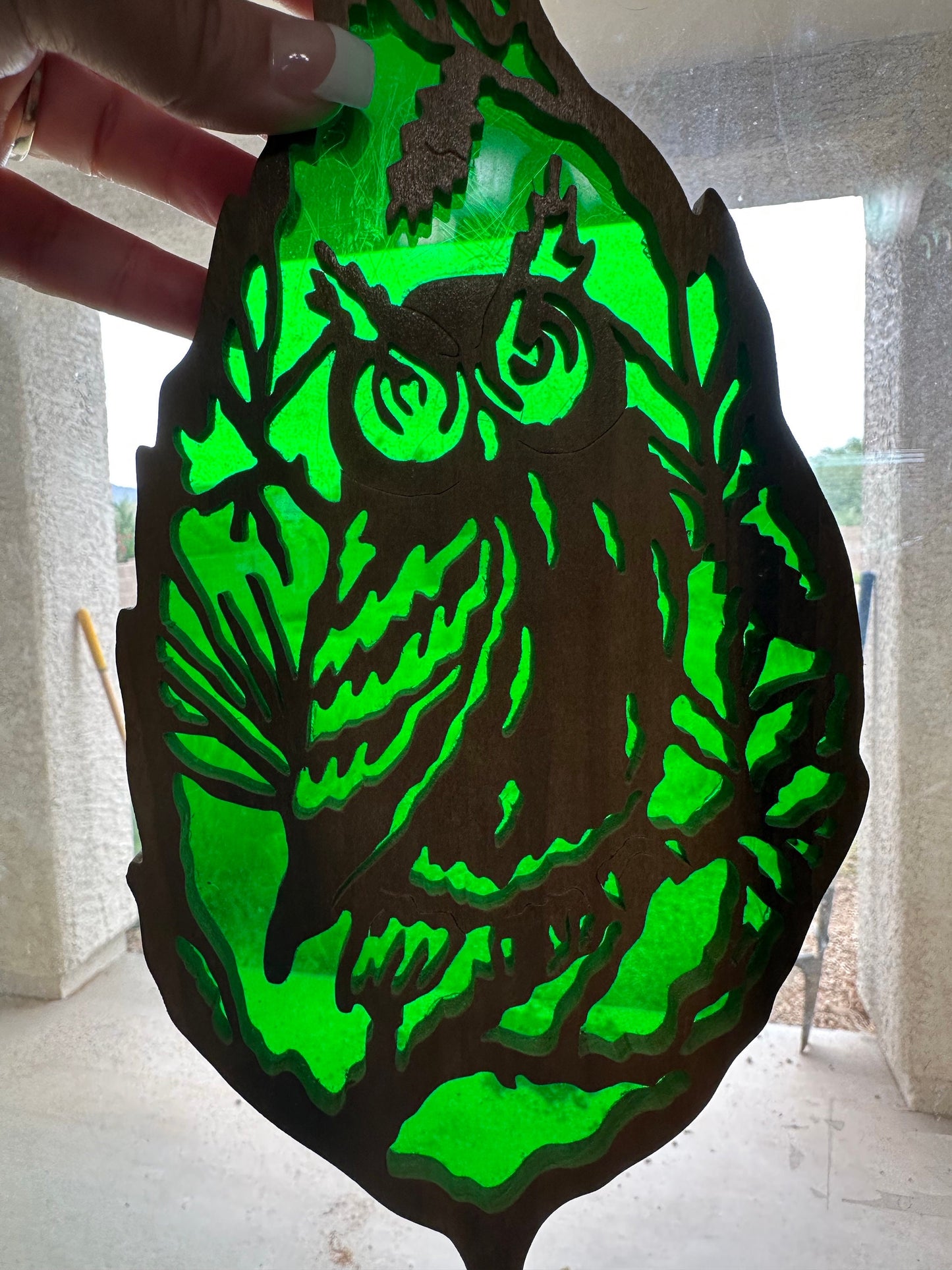 Owl in Leaf with Transparent Green Background