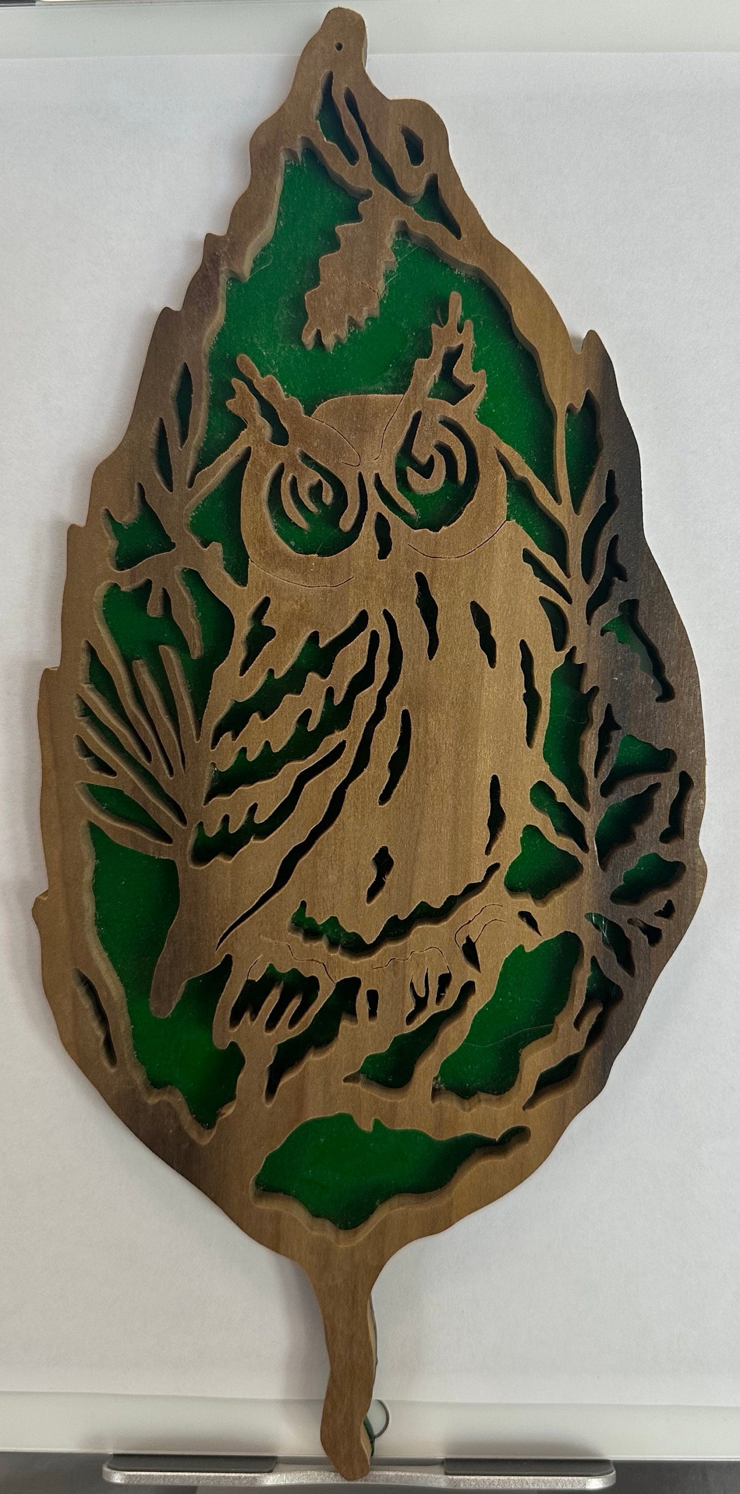 Owl in Leaf with Transparent Green Background